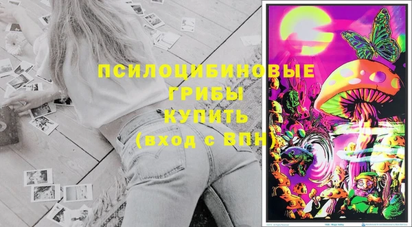 тгк Абинск