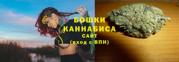 ГАЛЛЮЦИНОГЕННЫЕ ГРИБЫ Елизово