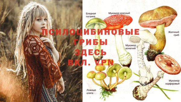 тгк Абинск