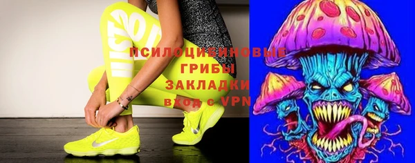 круглые Абаза