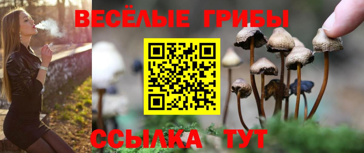 что такое наркотик  Галлюциногенные грибы MAGIC MUSHROOMS  Вход с VPN  Уссурийск 